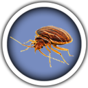 Bed Bug Extermination Icon